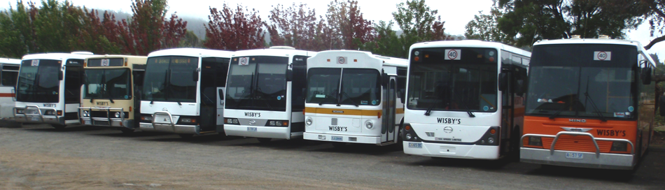 Title image, photo of buses